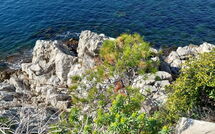 Billeder fra gæster i Le Marbeau