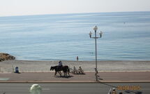 Photos éffectuées par les clients de Le Lagon, Nice