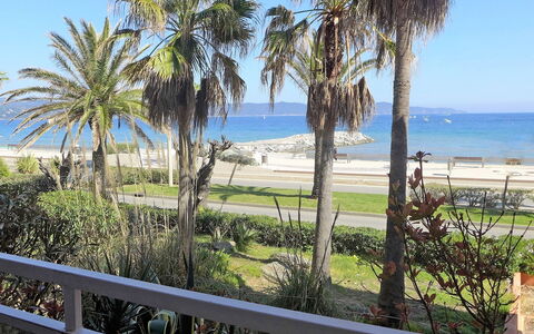 Villa Medicis: Ejendom, Træ, Kyst, Ejendom, Palme Træ, Himmel, Ocean, Ferie, Kyst, Hav