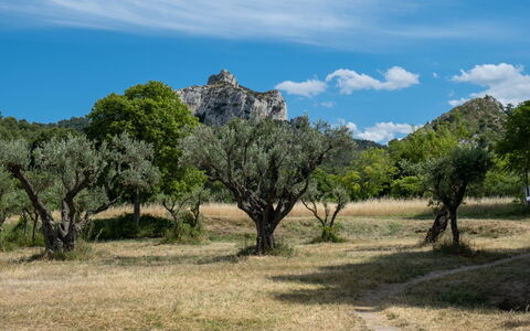 Villa Ballandé: Nuage, Ciel, Plante, Paysage Naturel, Arbre, Végétation, Cumulus, Paysage, Plaine, Prairie