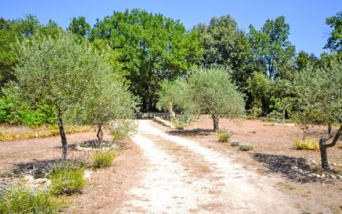 Le Bois D'Amour: Arbre, Feuille, Végétation, Arbuste, Piste, Communauté Des Plantes, Suppression Des Plantes Ligneuses, Sol, Passerelle