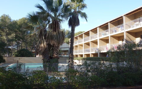 La Marina: Boom, Architectuur, Palmboom, Lucht, Arecales, Woody Plant, Onroerend Goed, Fabriek, Gebouw, Huis