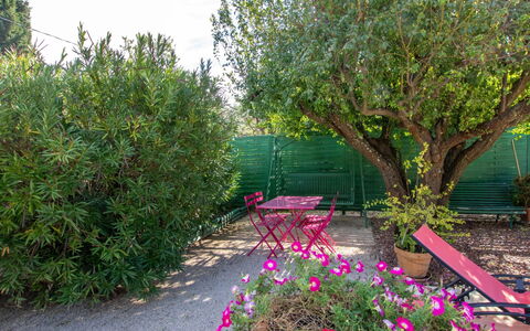 Les Amandiers: Fabriek, Bloem, Plantengemeenschap, Plantkunde, Petal, Boom, Natuurlijk Landschap, Vegetation, Struik, Gras