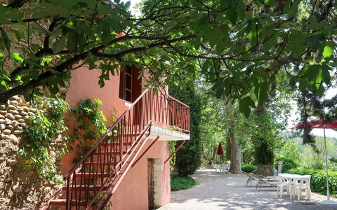 Oraison 603: Pianta, Costruzione, Shade, Albero, Villetta, Erba, Legna, Manto Stradale, Arbusto, Tinte E Ombre