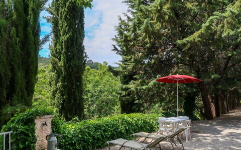 Oraison 603: Vegetazione, Albero, Proprietà, Giardino, Paesaggio Naturale, Arbusto, Botanica, Biome, Giardino Botanico, Erba