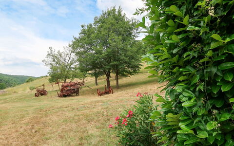 Accommodation:&nbsp;Le Prunier 603.3