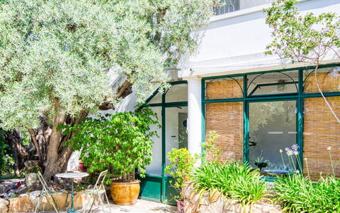 Liska Blu: Fabriek, Venster, Gebouw, Bloempot, Boom, Gras, Schaduw, Onroerend Goed, Deur