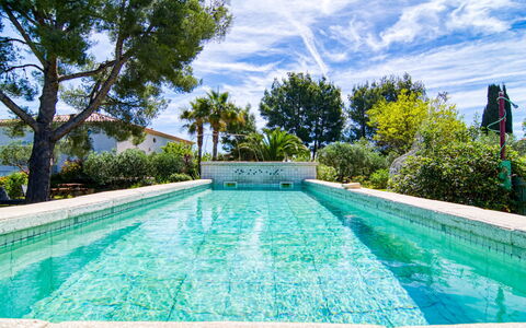 Liska Blu: Water, Fabriek, Wolk, Lucht, Eigendom, Zwembad, Natuur, Azure, Boom, Rechthoek