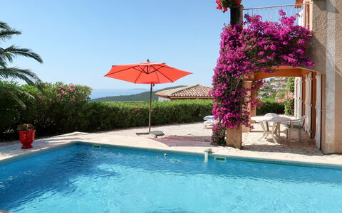 Yalou: Water, Fabriek, Lucht, Bloem, Eigendom, Gebouw, Zwembad, Blauw, Azure, Buitenmeubels