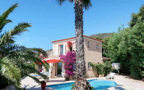 Yalou: Lucht, Gebouw, Fabriek, Groen, Venster, Azure, Boom, Arecales, Huis, Buurt