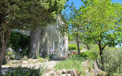 Le Cabanon: Vegetazione, Arbusto, Primavera, Villetta, Giardino, Shade, Backyard, Cortile, Sedia