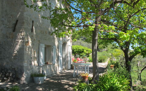 Le Cabanon: Vegetazione, Arbusto, Primavera, Villetta, Giardino, Shade, Backyard, Cortile, Sedia