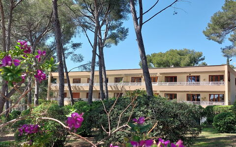 Résidence Eden Parc: Flower, Plant, Sky, Property, Window, Building, Tree, Vegetation, Petal, House