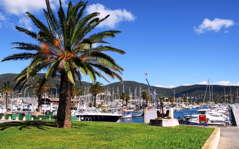 Cavalaire 700: Nube, Cielo, Pianta, Arecales, Shade, Albero, Costiera E Morfologie Oceanic, Tempo Libero, Impianto Terrestre, Barca