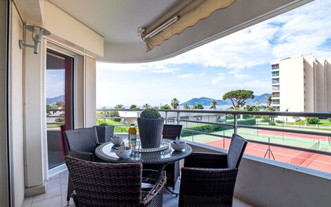 Royal Palm: Vand, Himmel, Ejendom, Plante, Bygning, Sky, Svømmepøl, Træ, Boligområde, Græs