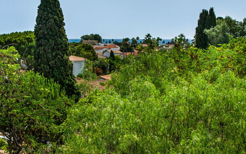 Le Bahia: Ciel, Bâtiment, Vert, Plante, Paysage Naturel, Arbre, Arbuste, Herbe, Maison, Paysage