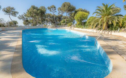 Mont des Oiseaux: Piscina, Agriturismo, Estate, Villa, Ricorrere, Hacienda, Eco Hotel, Backyard