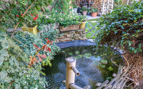 La Croix du Puits: Pianta, Acqua, Botanica, Foglia, Vegetazione, Erba, Biome, Alveo, Arbusto, Woody Impianto