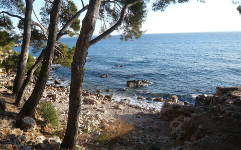 Les Hameaux de L'Ile Rousse: L'Eau, Plante, Ciel, Paysage Naturel, Arbre, Bois, Cotiers Et Relief Océaniques, Banque, Terrain, Horizon