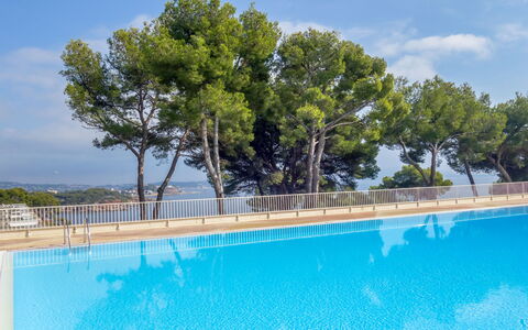 Bandol 230: Vand, Himmel, Sky, Vandressourcer, Plante, Azure, Træ, Svømmepøl