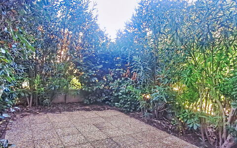 Six Fours 100: Vedplante, Have