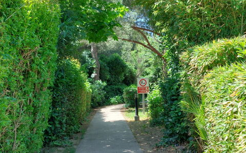 Le Verdon: Blad, Vegetation, Struik, Plantengemeenschap, Trail, Tuin, Groundcover, Doorgang, Natuurgebied, Gang