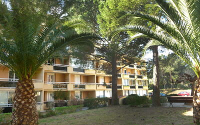 Bormes-Les-Mimosas 200