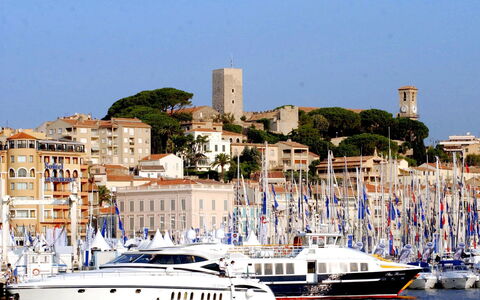 Cannes 535: Boat, Watercraft, Boats And Boating--Equipment And Supplies, Marina, Waterway, Port, Channel, Ship, Sea, Naval Architecture