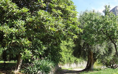 La Fontonne