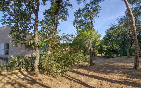 La Cadière: Himmel, Plante, Plantesamfund, Vindue, Træ, Land Lot, Skygge, Landskab, Toner Og Skygger, Naturlige Landskab