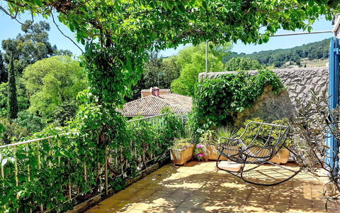 La Quiètude: Grün, Vegetation, Strauch, Frühling, Schatten, Garten, Hinterhof, Blumentopf, Zaun, Zimmerpflanze