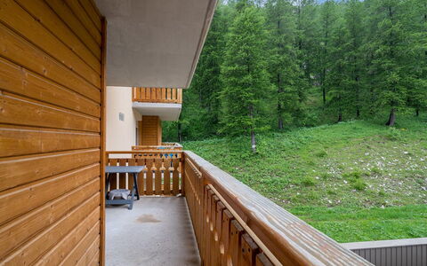 La Foux D'Allos 621: Madera, Departamento, Manchas De Madera, Madera Dura, Condominio, Balcón, Madera Contrachapada, La Luz Del Día, Tablón, Maderas