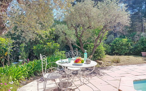 Les Oliviers: Strauch, Wohngebiet, Zuhause, Estate, Garten, Rasen, Landscaping, Garten, Villa, Villa