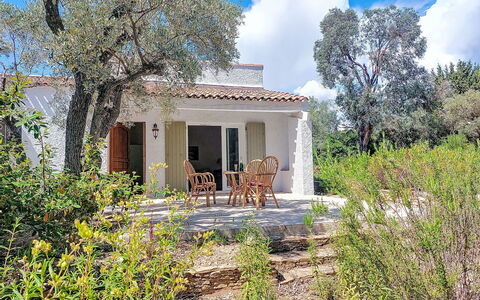 Les Oliviers: Strauch, Wohngebiet, Zuhause, Estate, Garten, Rasen, Landscaping, Garten, Villa, Villa