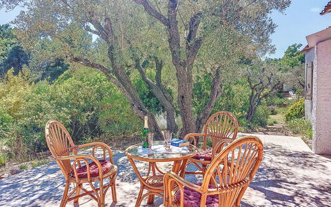 Les Oliviers: Strauch, Wohngebiet, Zuhause, Estate, Garten, Rasen, Landscaping, Garten, Villa, Villa