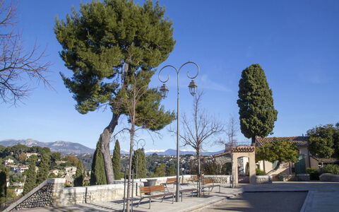 Azur Paradis: Albero, Spazio Pubblico, Shade, Passerella, Sempreverde, Landscaping, Pine Famiglia