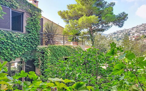 Villa 50: Végétation, Arbuste, Jardin, Ombre, À Feuilles Persistantes, Haie