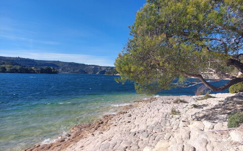Mon Coua: Porte, Balcon, Chaise, Mobilier De Jardin, Cour, Allée, Plante D'Appartement, Cour, Passerelle, Pot De Fleur