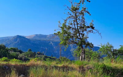 Maison du Paysan (Bauernhaus)