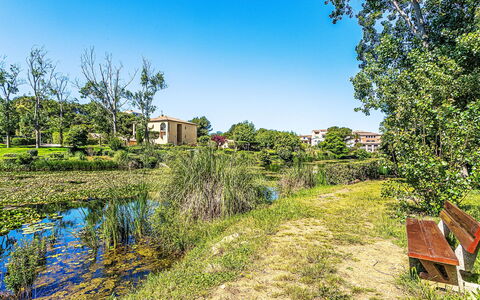 Palmier: Mare, Costiera E Morfologie Oceanic, Oceano, Costa, Spiaggia, Riva, Balcone, Tropici, Baia