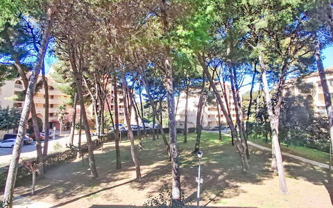 Palmier: Mare, Costiera E Morfologie Oceanic, Oceano, Costa, Spiaggia, Riva, Balcone, Tropici, Baia