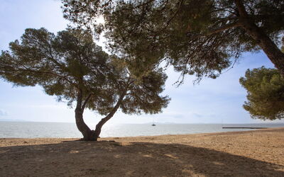 La Londe les Maures 301