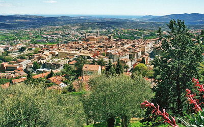 Grasse 654