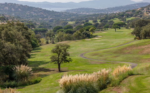 Maison Lou Oustaou: Pascolo, Highland, Collina, Ecoregione, Paesaggio, Plain, Lotto, Area Rurale, Groundcover, Pendenza