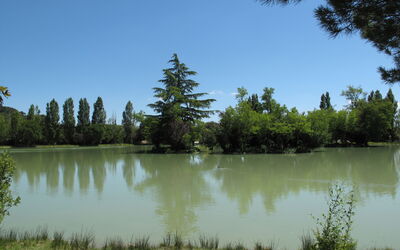 Lou Parpaiou