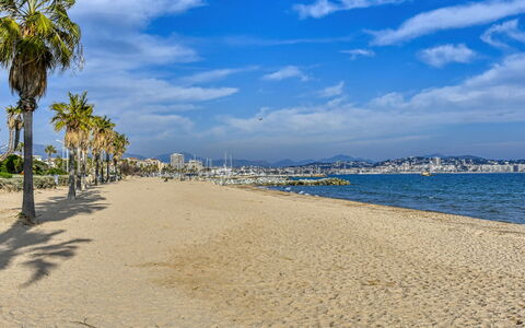 Les Floralies: Krop Af Vand, Strand, Kyst, Hav, Coastal Og Oceaniske Landskabsformer, Kyst, Sand, Ocean, Tropics, Bugt
