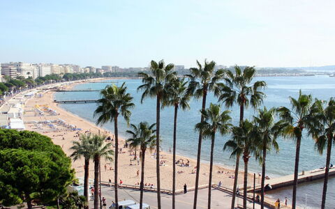 Le San Francisco: Coast, Coastal And Oceanic Landforms, Sea, Beach, Shore, Ocean, Bay, Resort Town, Tropics