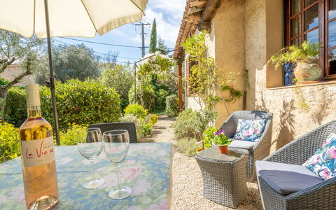 Passival: Pianta, Proprietà, Bottiglia, Cielo, Blu, Azzurro, Tavolo, Costruzione, Shade, Giallo