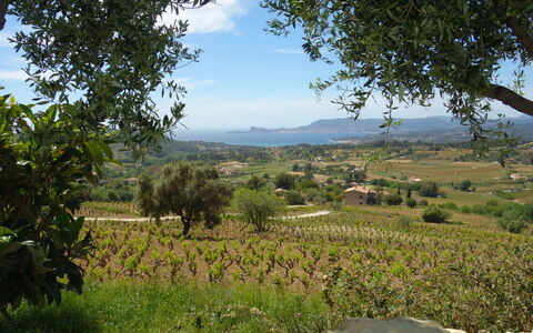 Les Vignes: Vegetation, Natürliche Landschaft, Natürlichen Umgebung, Baum, Wildnis, Ländliches Gebiet, Hügel, Himmel, Landschaft, Grundstueck