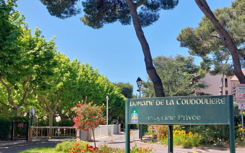 Six Fours la Coudoulière 210: Foglia, Arbusto, Woody Impianto, Shade, Giardino, Cartello, Parco, Giardino Botanico